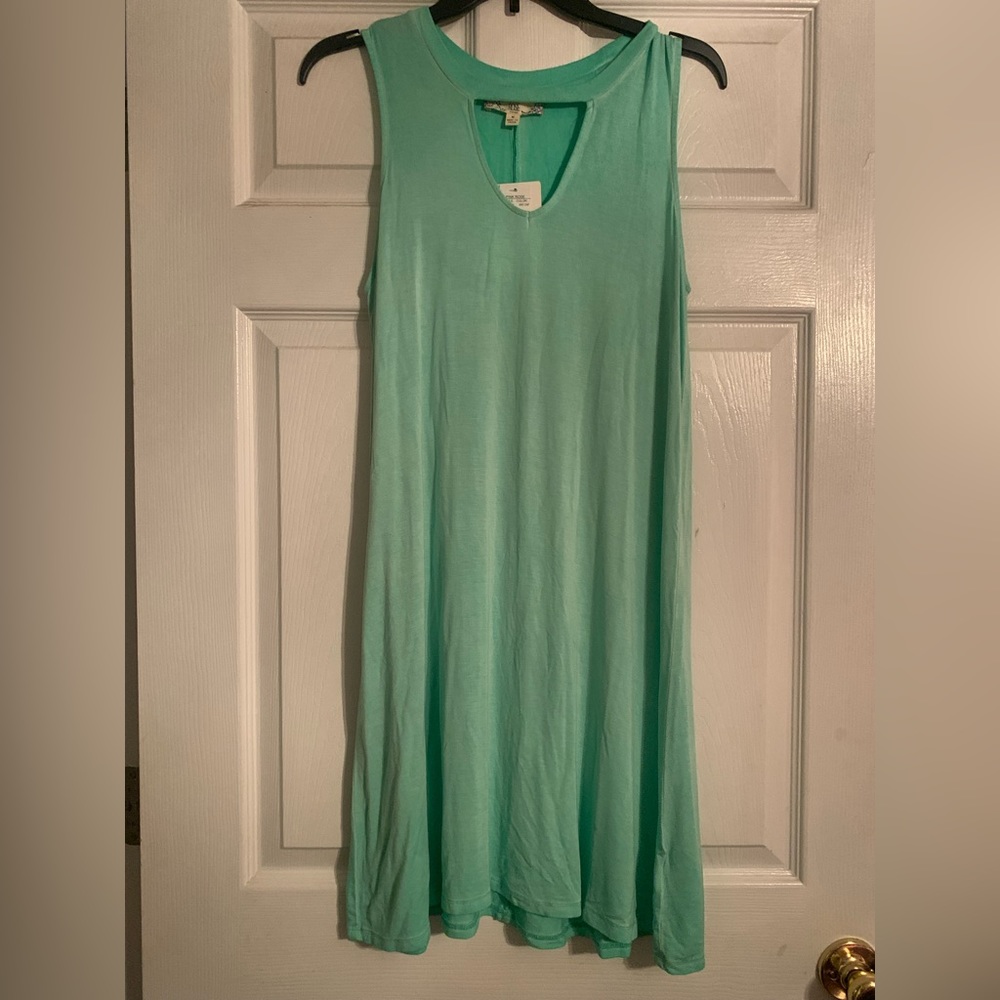 NWT Pink Rose Vintage dress